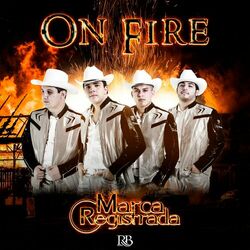 Cover of On fire