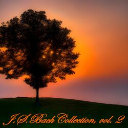 Cover of J. S. Bach Collection, Vol. 2