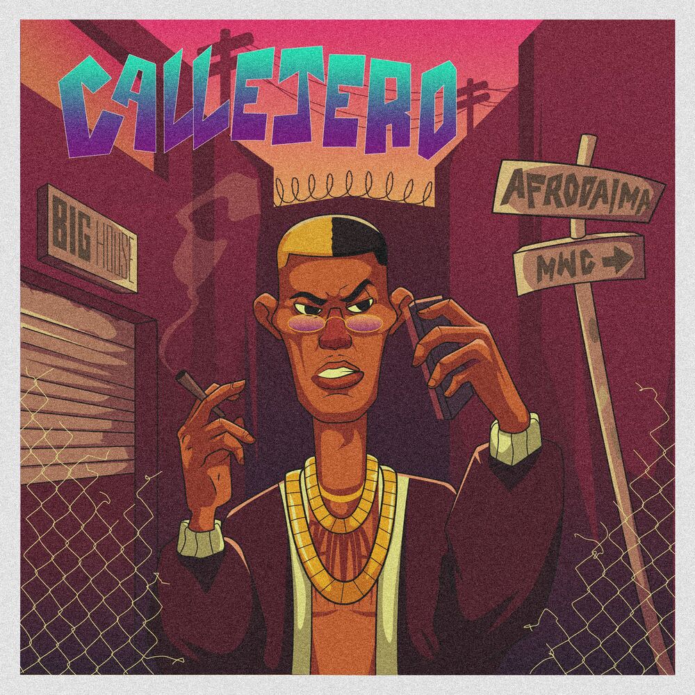 Picture of Callejero