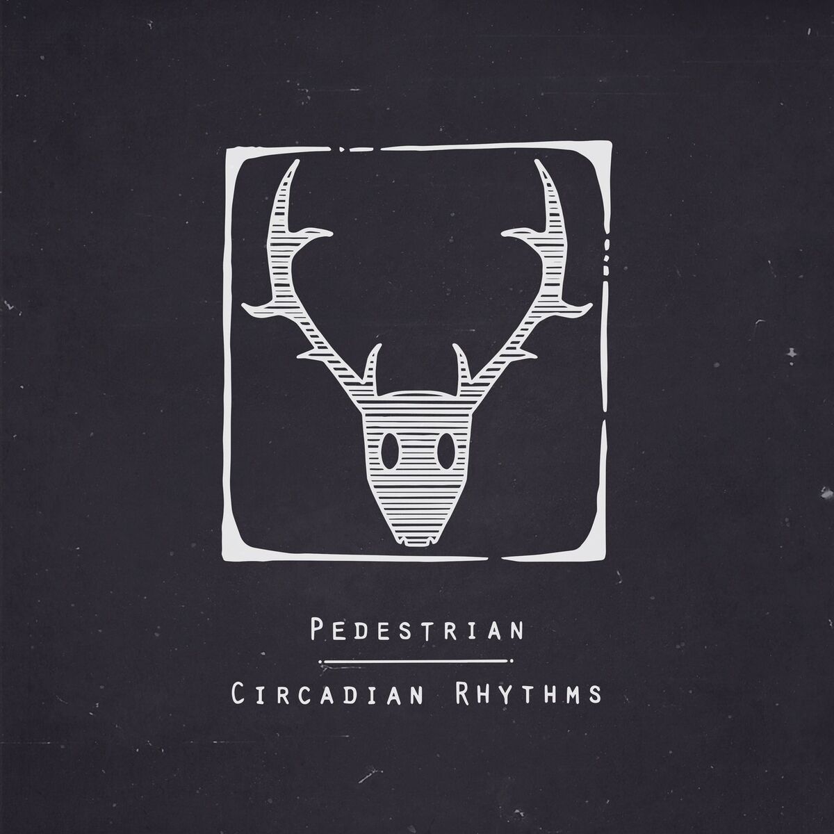 Album cover of Circadian Rhythms