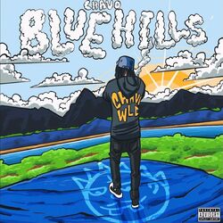 Cover of Blue Hills