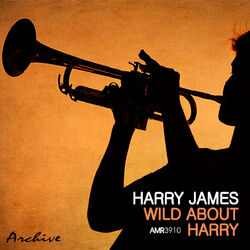 Cover of Wild About Harry
