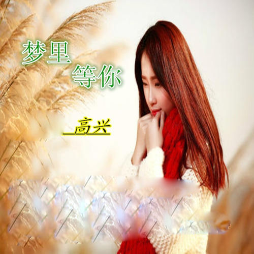 梦里等你 (男声版)