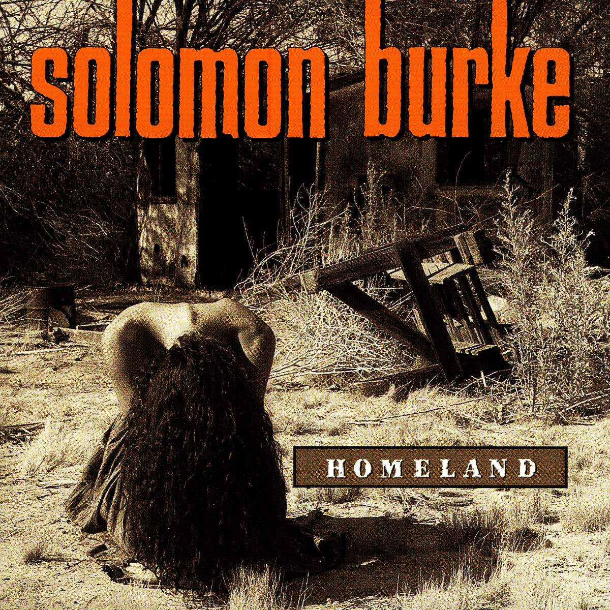 Album cover of Homeland
