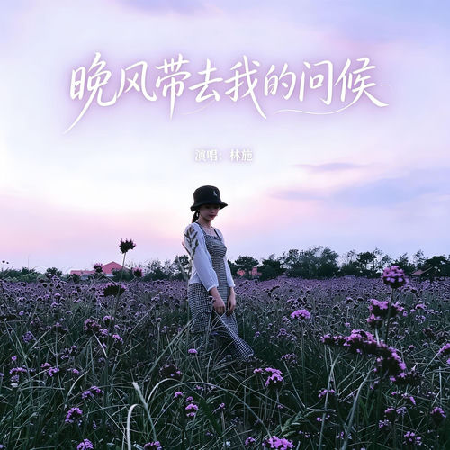 晚风带去我的问候