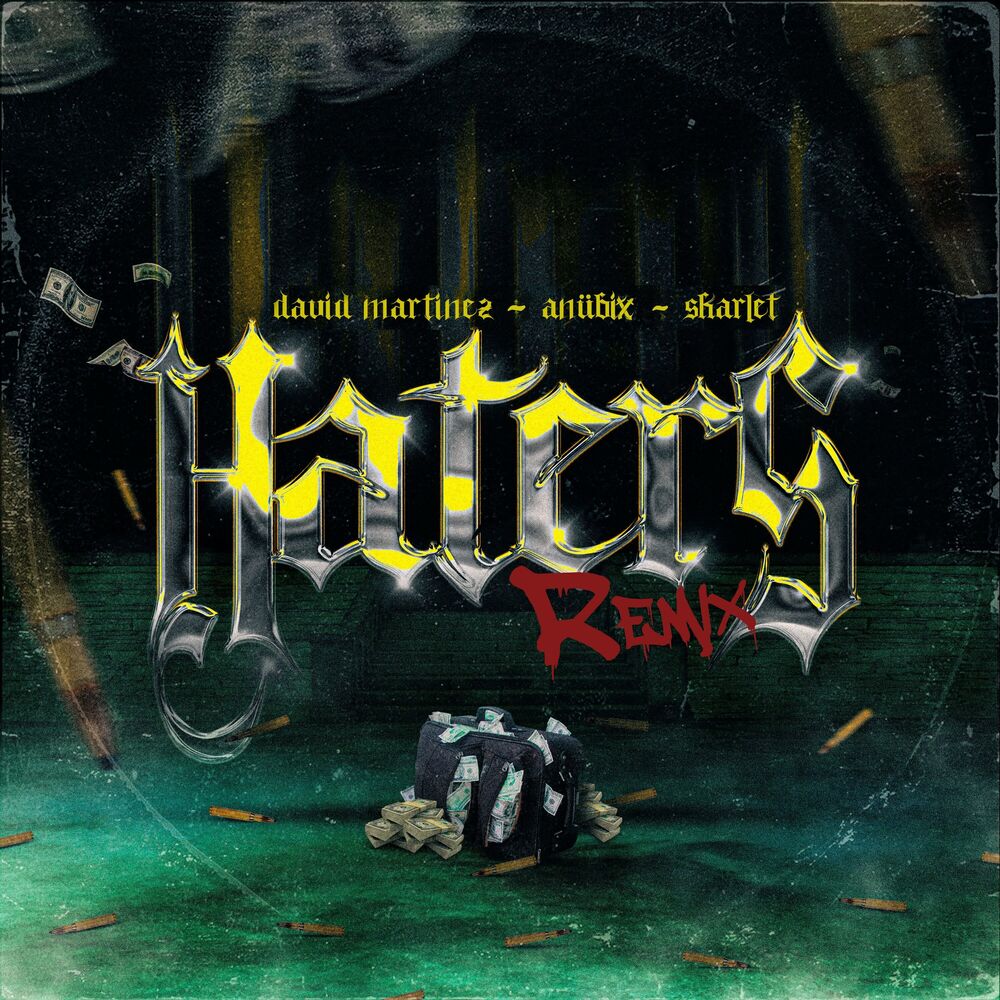 Picture of Haters (Remix)