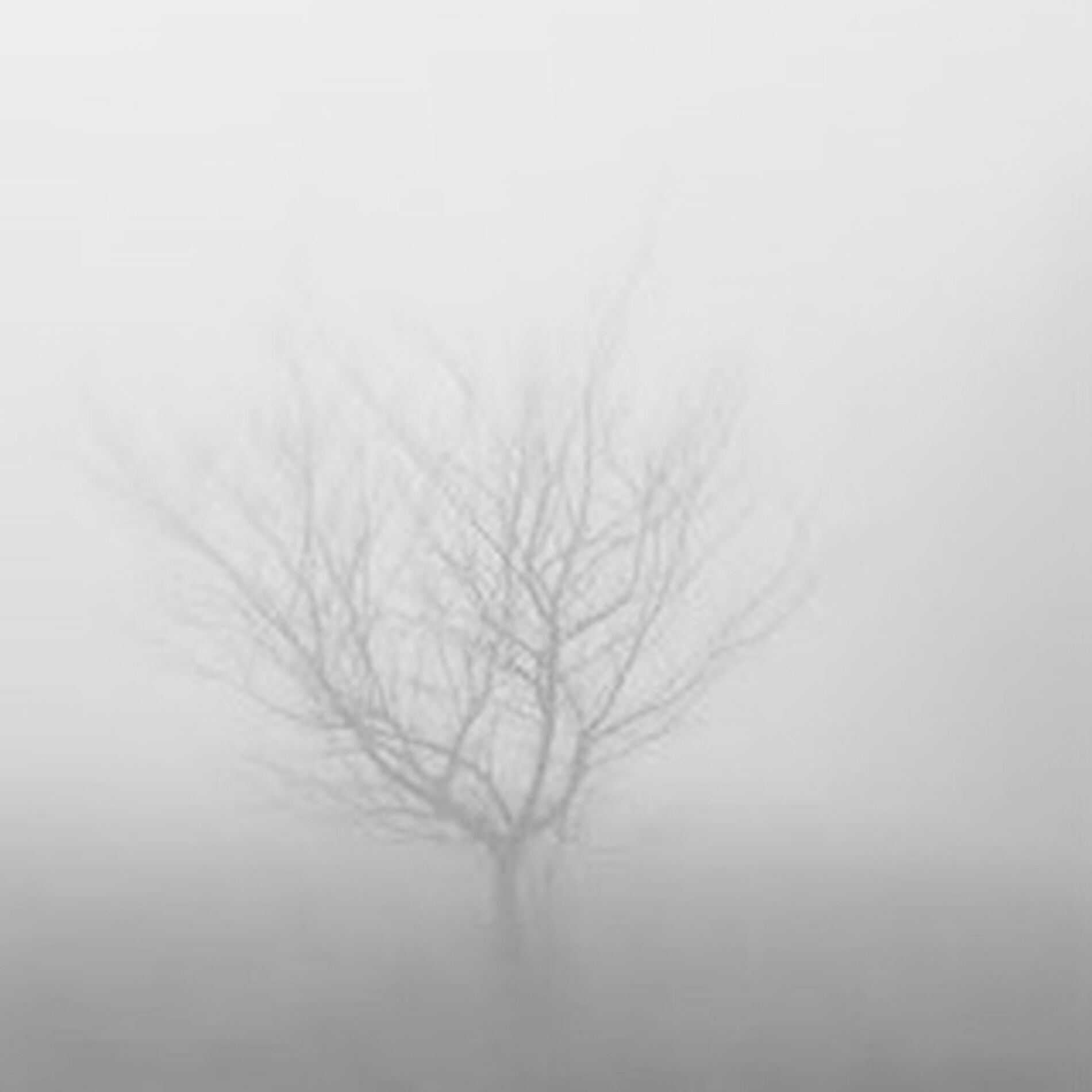 Album cover of MIST (feat. 2hollis & Circleain)