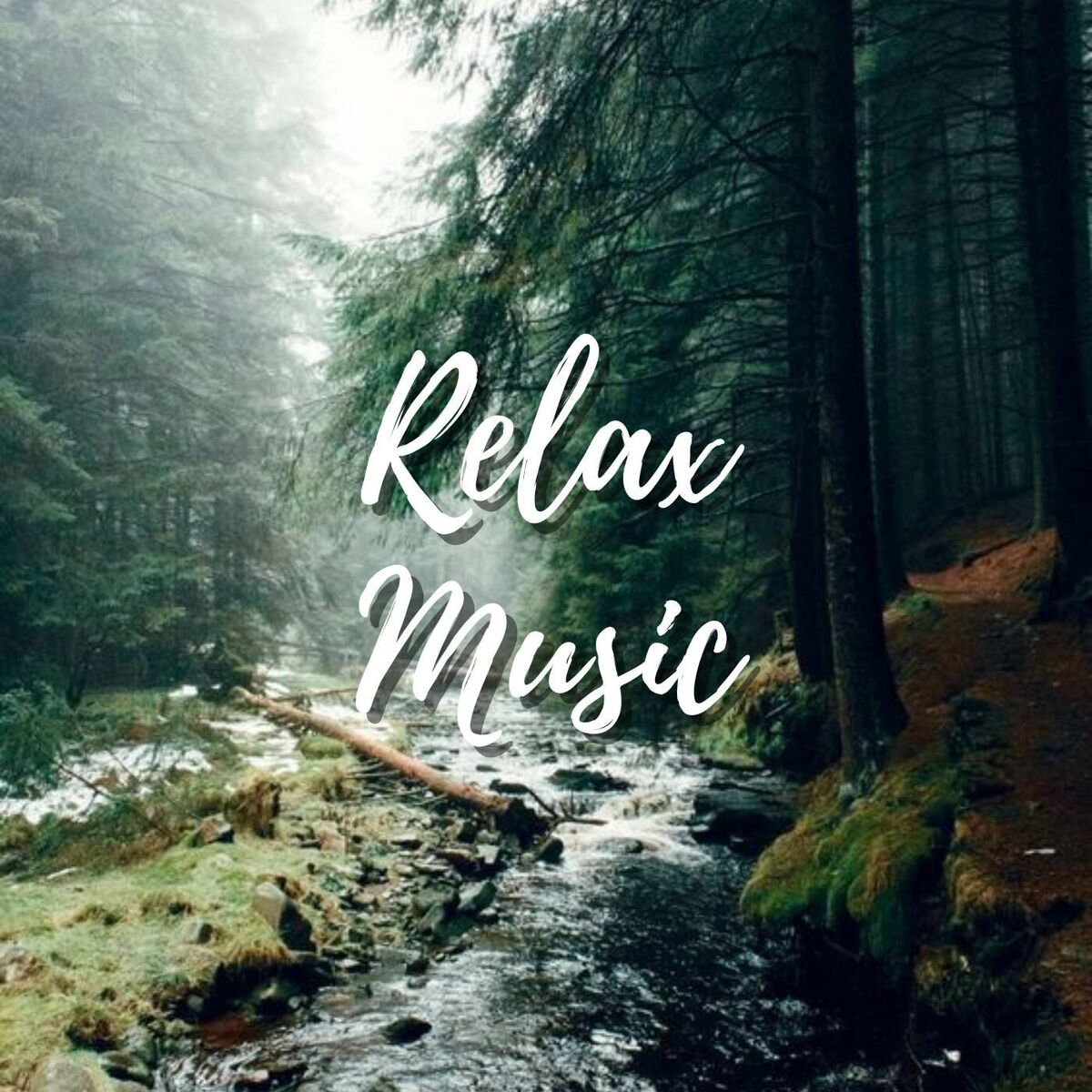 Album cover of Physical And Emotional Healing Through Music