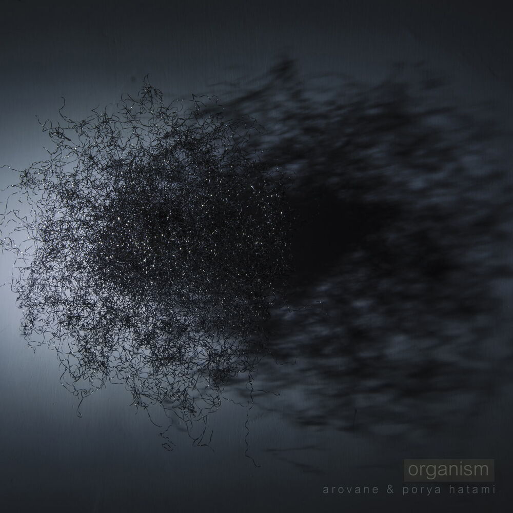 Picture of Organism