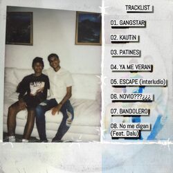 Cover of Gangstar