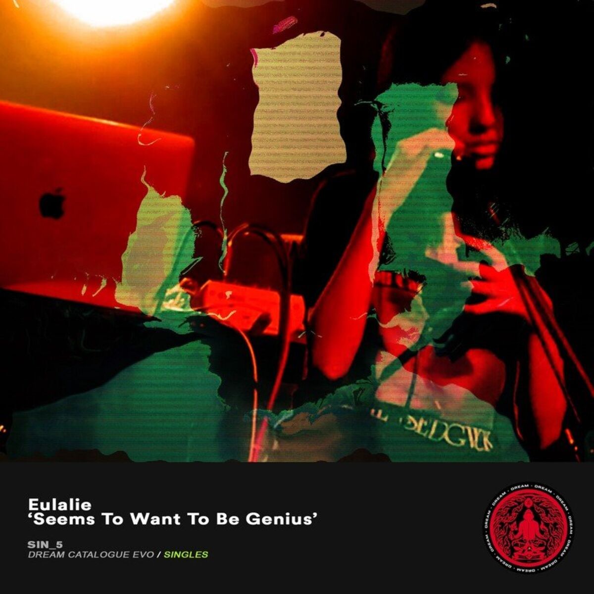 Album cover of Seems To Want To Be Genius