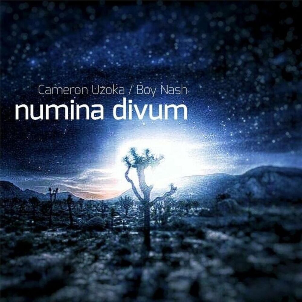 Picture of Numina Divum E.P