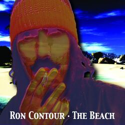 Cover of The Beach
