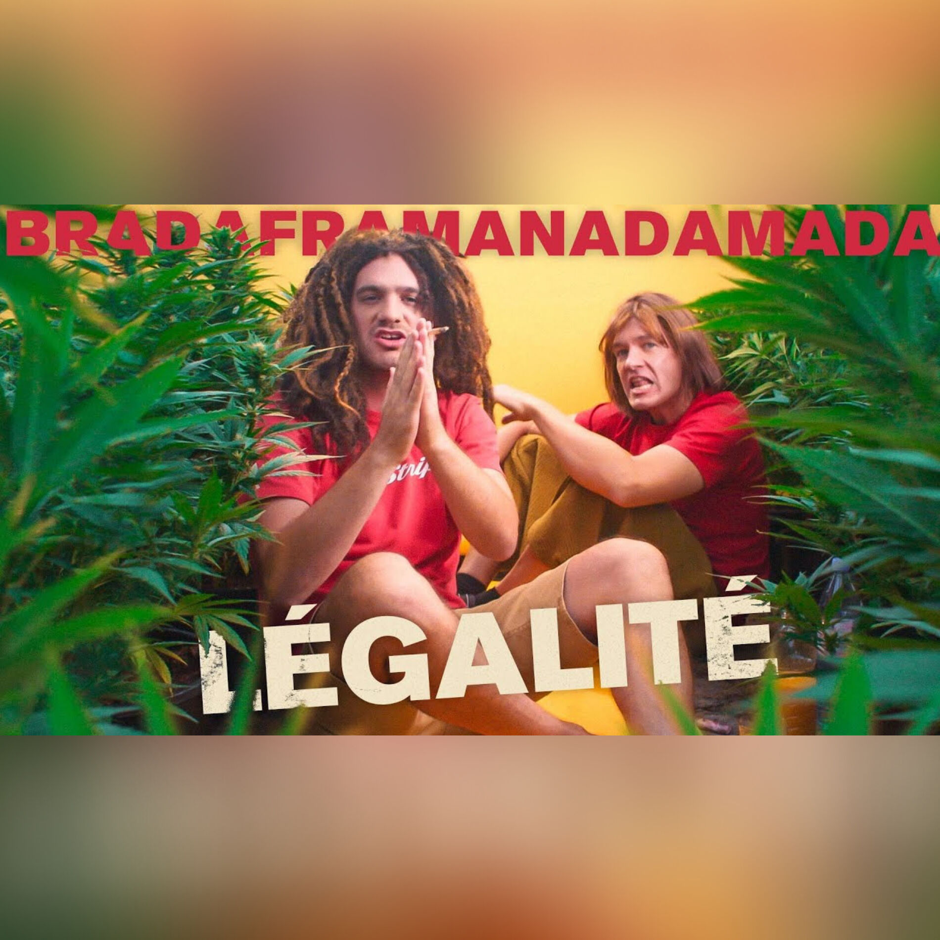 Album cover of Légalité