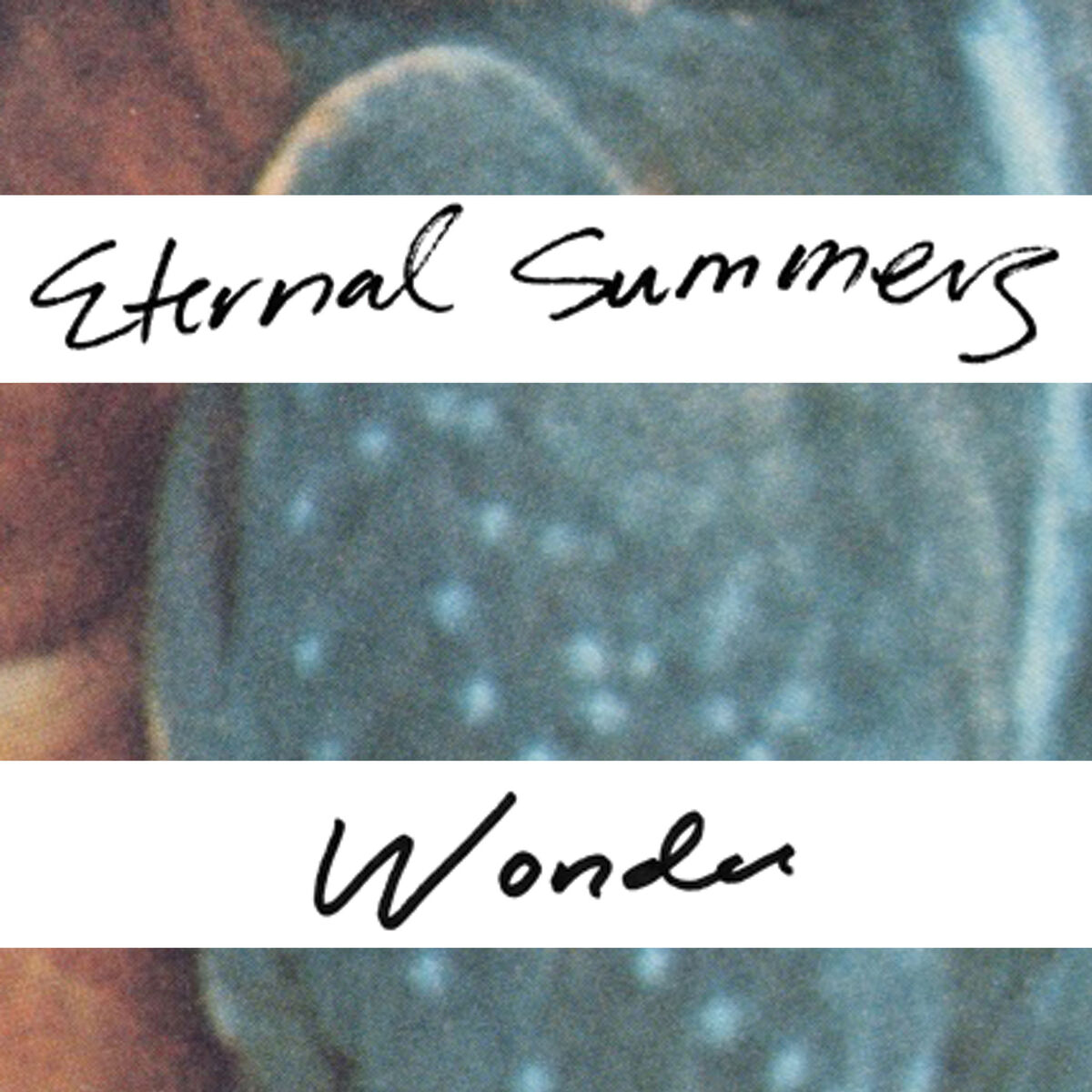 Album cover of Wonder
