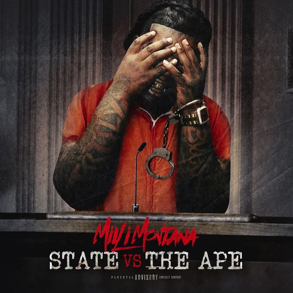 Picture of State VS the Ape
