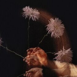 Cover of Dying Wish