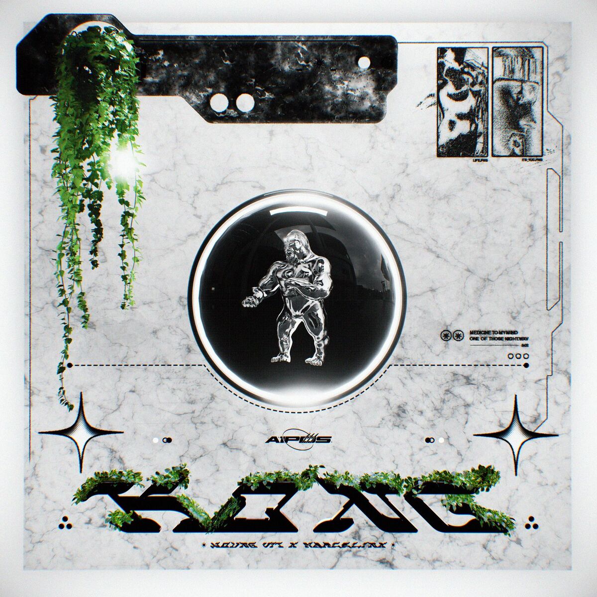 Album cover of KONG