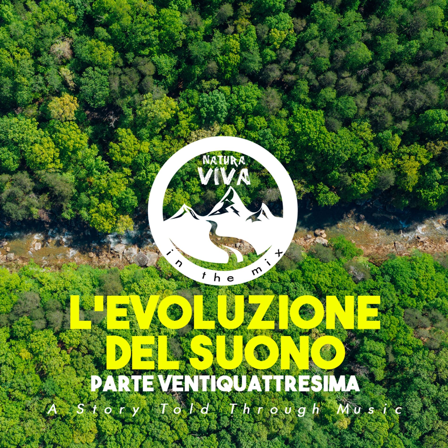Album cover of L'Evoluzione Del Suono (Parte Ventiquattresima)