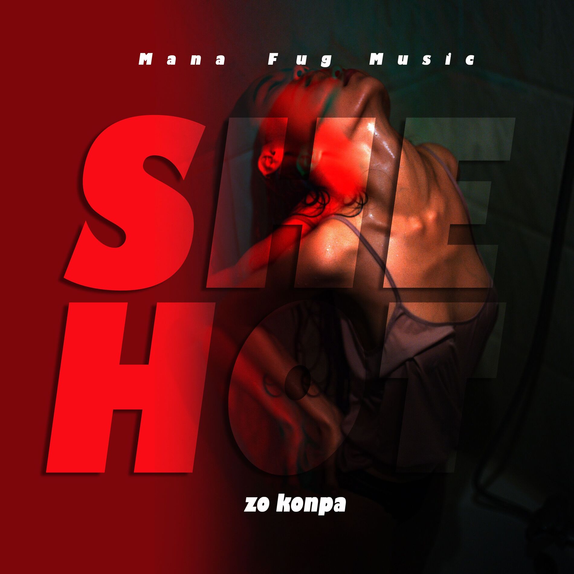 Album cover of she's Hot