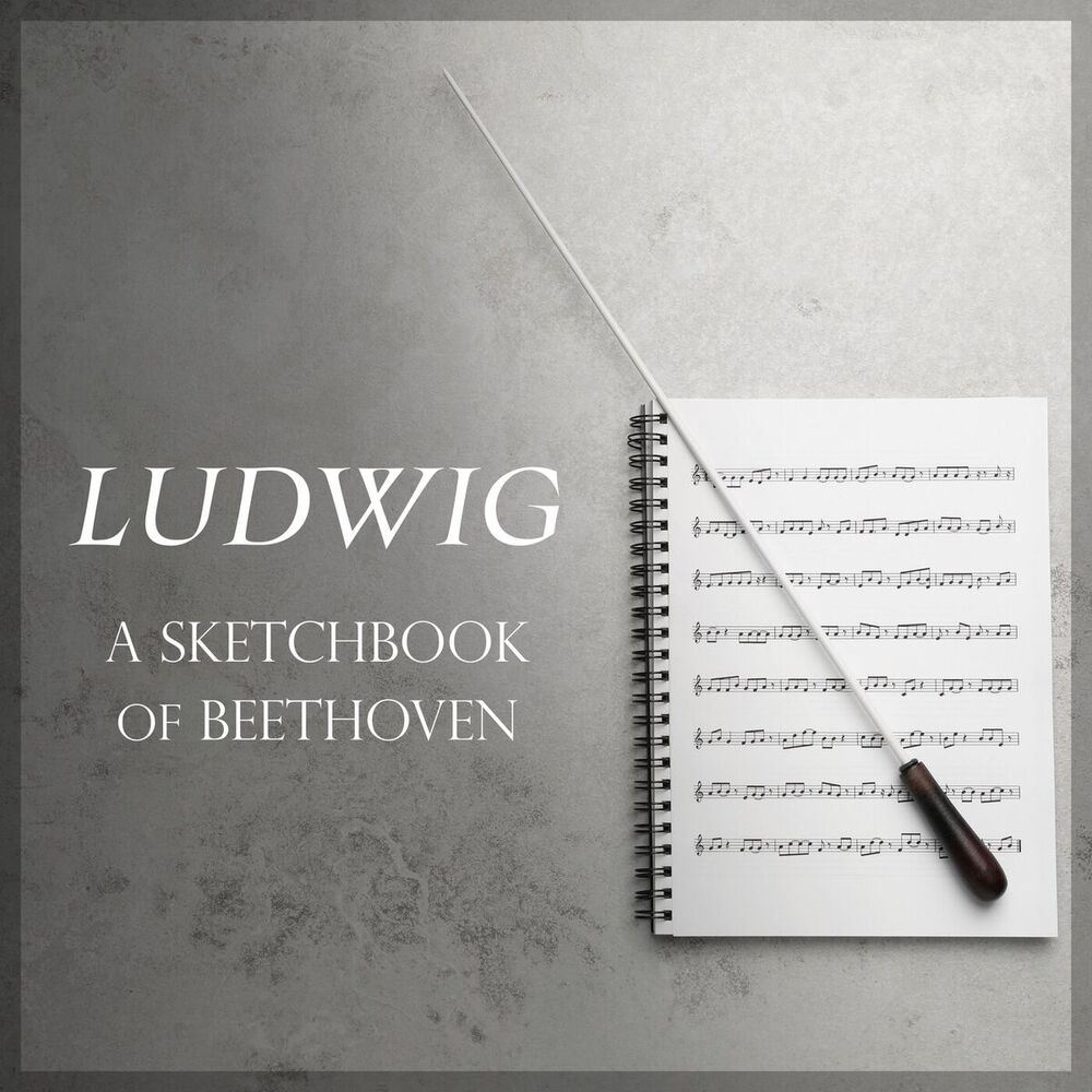 Picture of 'Ludwig': A Sketchbook of Beethoven