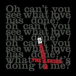Cover of Window In The Skies