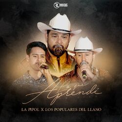 Cover of Lo que Aprendi (En Vivo)
