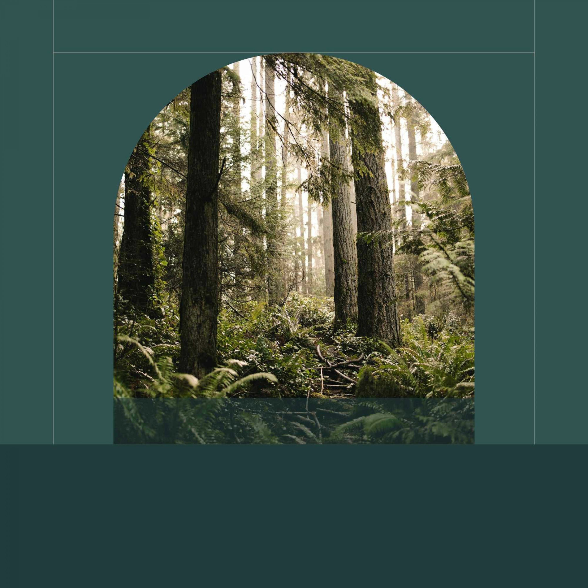 Album cover of Music - Relaxing Days