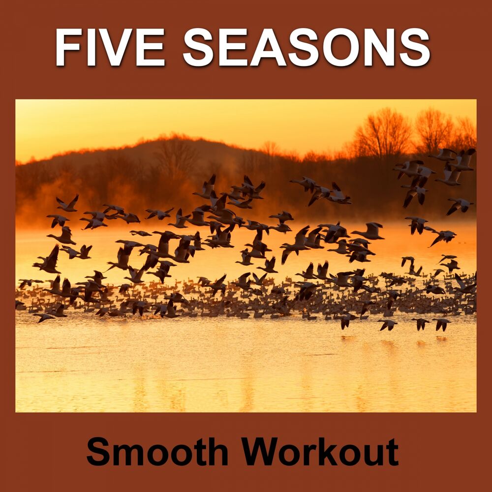 Picture of Smooth Workout