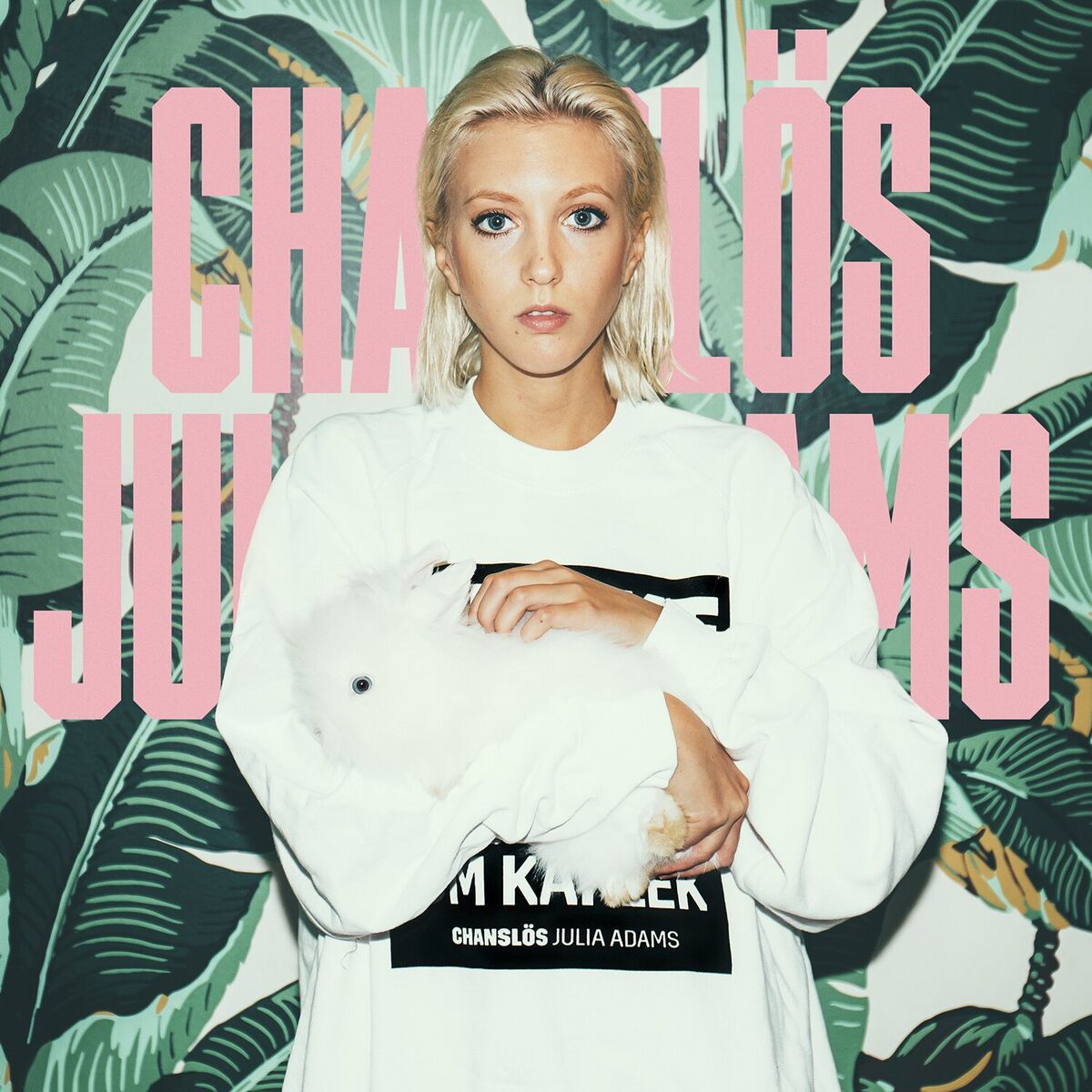 Album cover of Chanslös