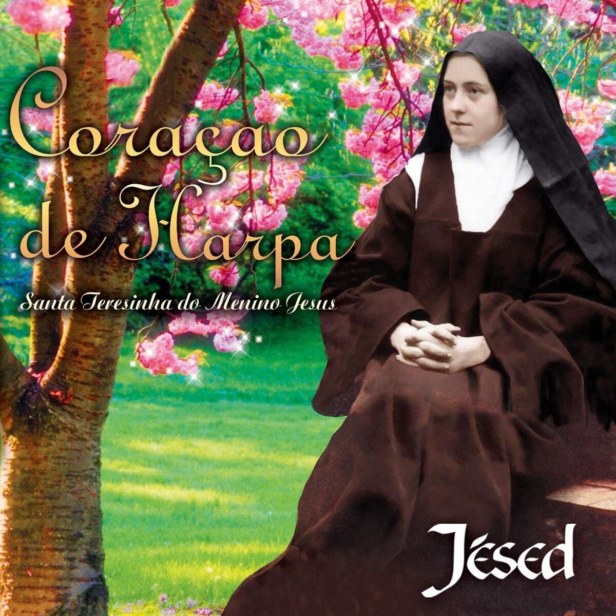 Album cover of Coração de Harpa