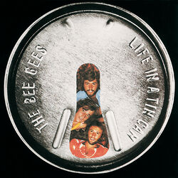 Cover of Life In A Tin Can