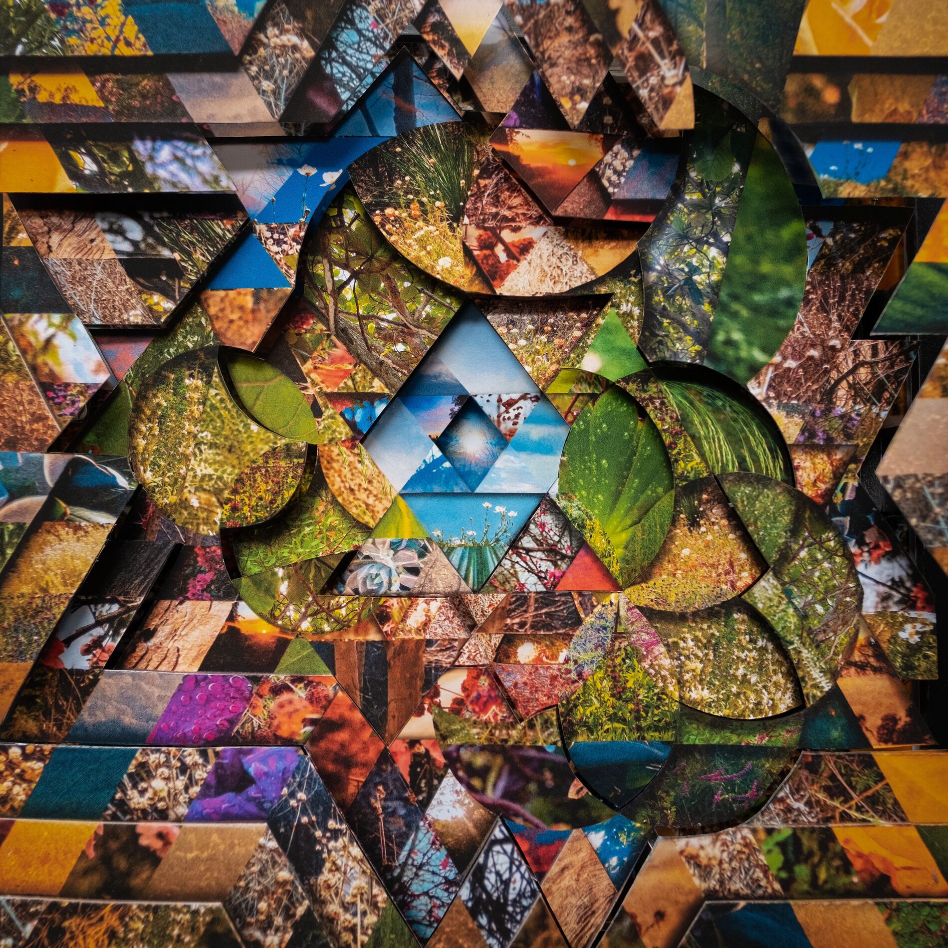 Album cover of Les Jardins Mystiques Vol.1