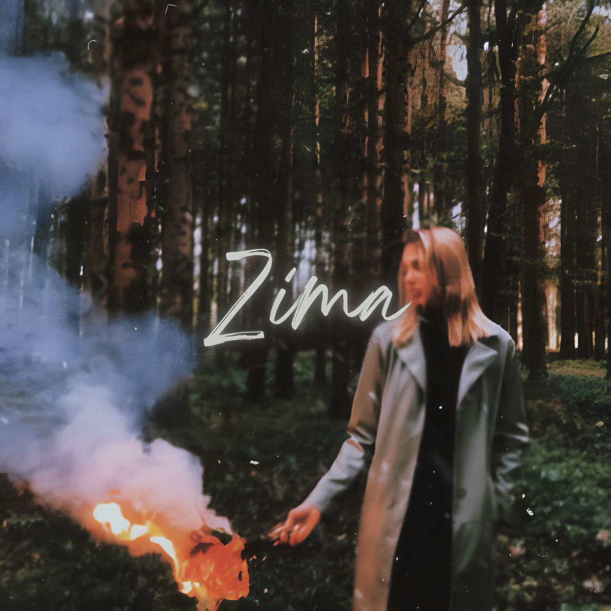 Album cover of Zima