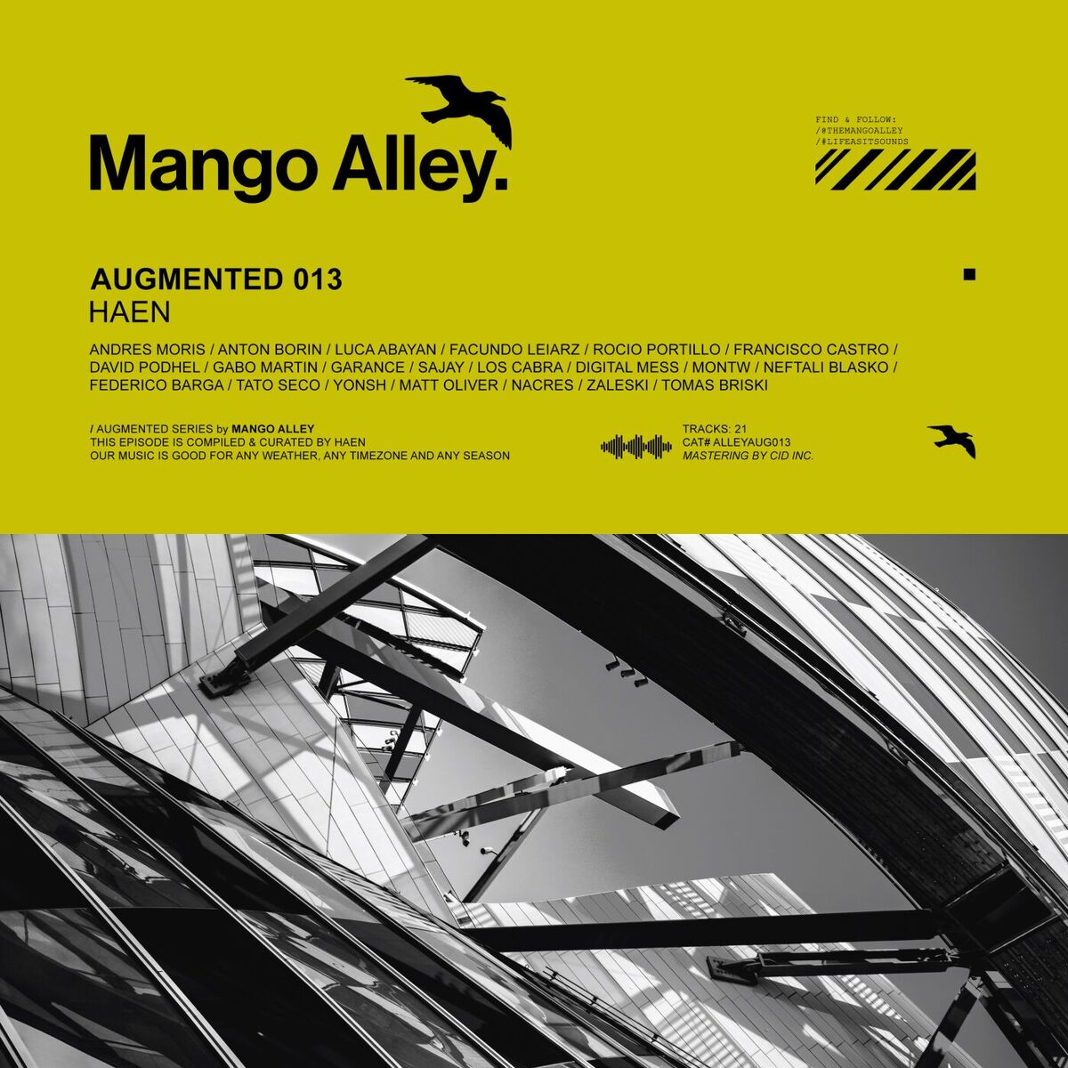 Album cover of Augmented 013 / Haen