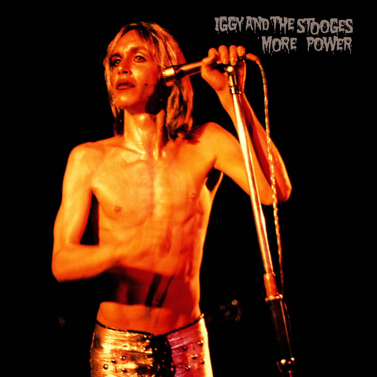 Iggy Stooges Night Destruction　iggy pop Iggy Pop performing onstage with the Stooges at Max's Kansas