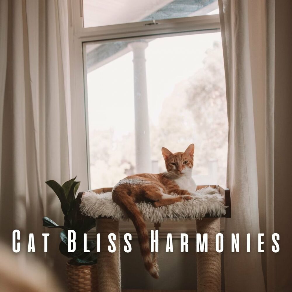 Picture of Cat Bliss Harmonies: Chill Music for Cats' Comfort