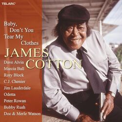 Cover of Baby, Don't You Tear My Clothes