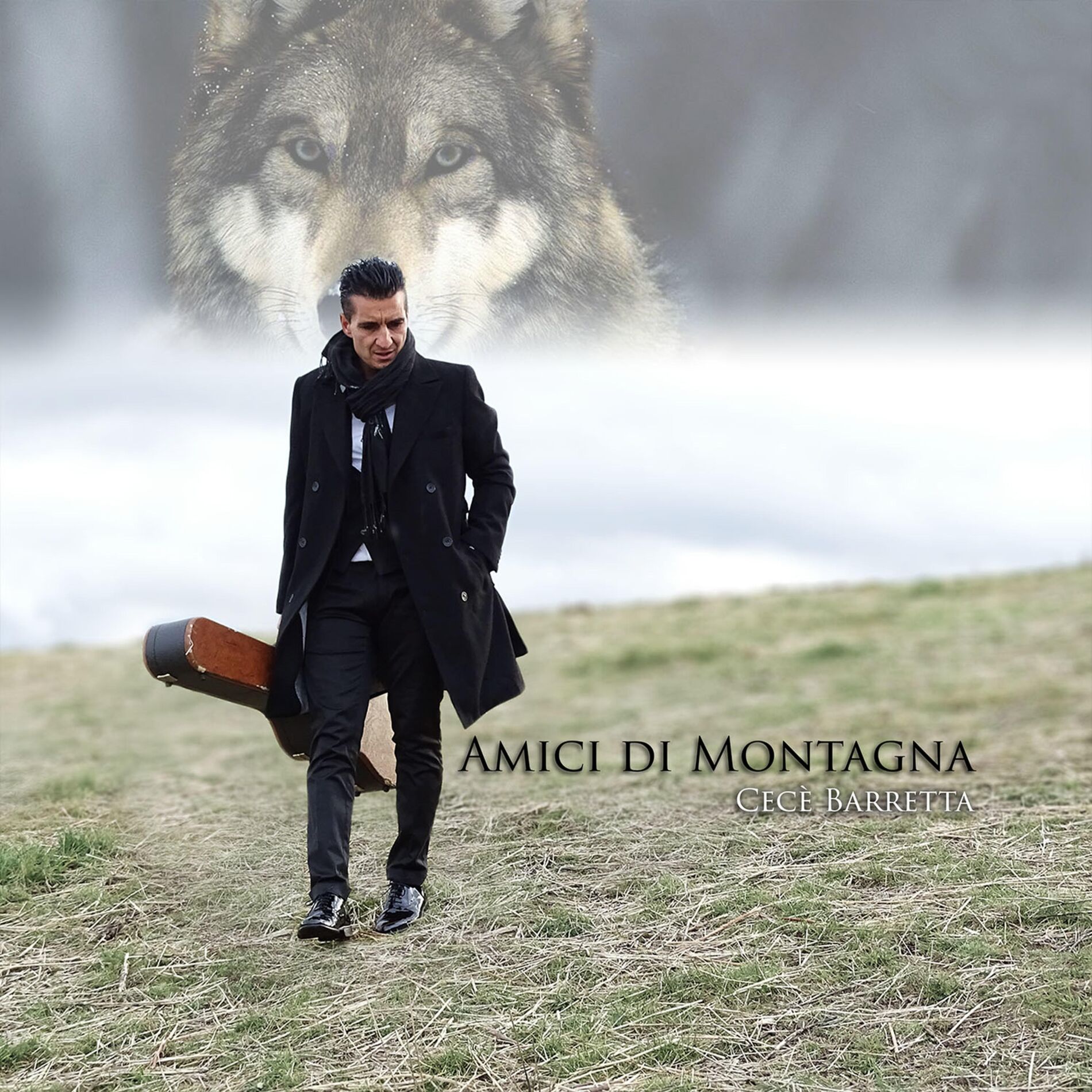 Album cover of Rocca Di Neto