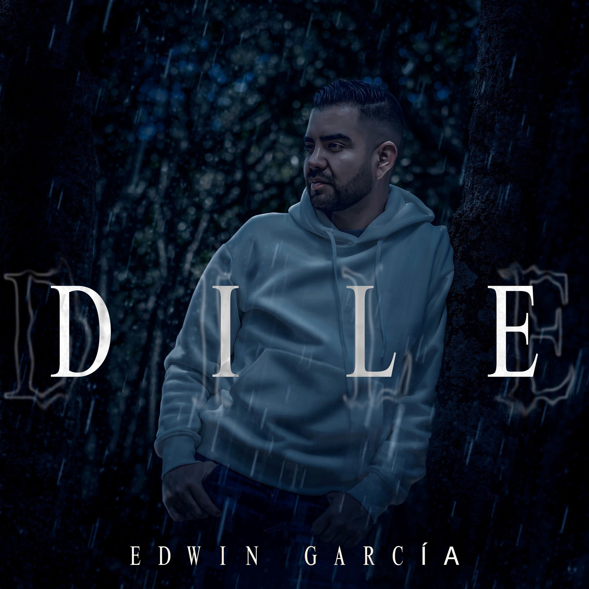 Album cover of Dile
