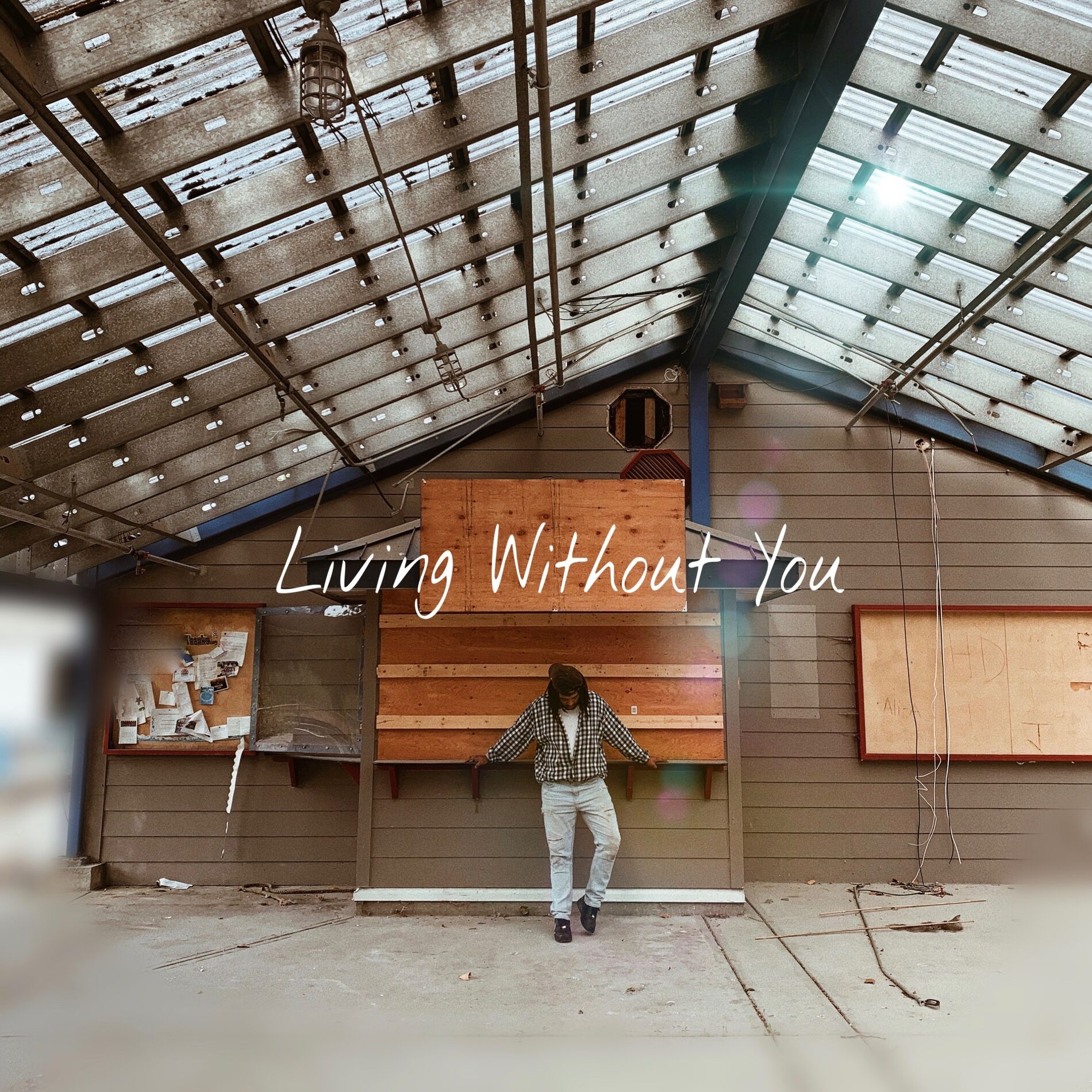 Album cover of Living Without You