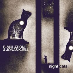 Cover of Night Cats