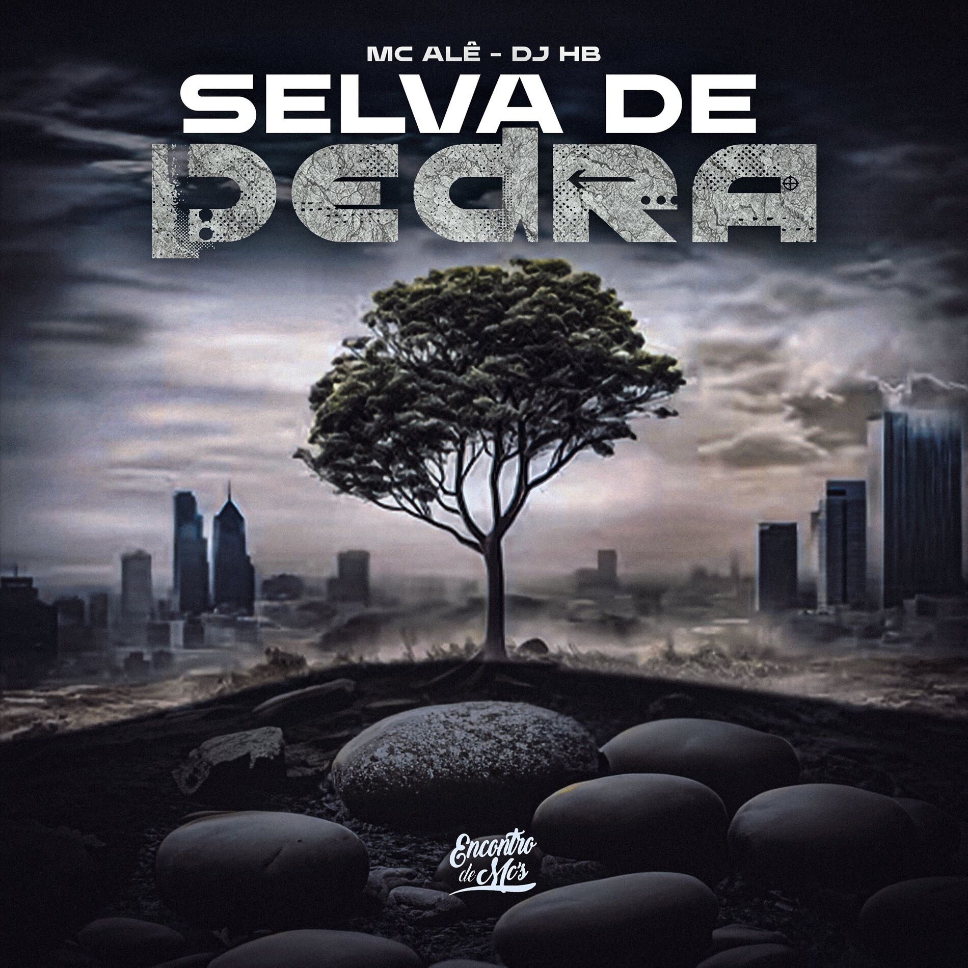Album cover of Selva de Pedra