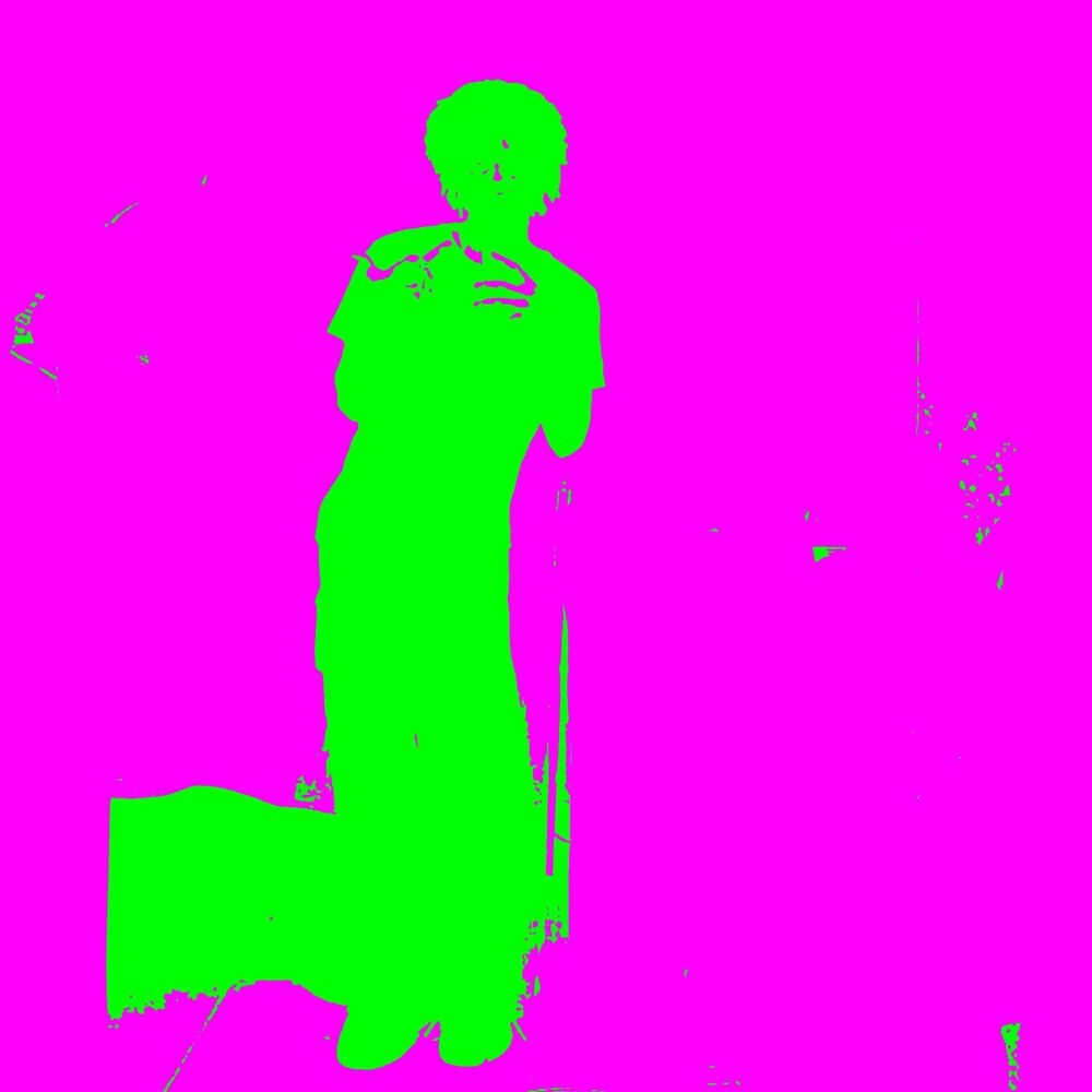 Picture of Gata cartera