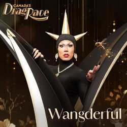 Wangderful (Minhi Wang)