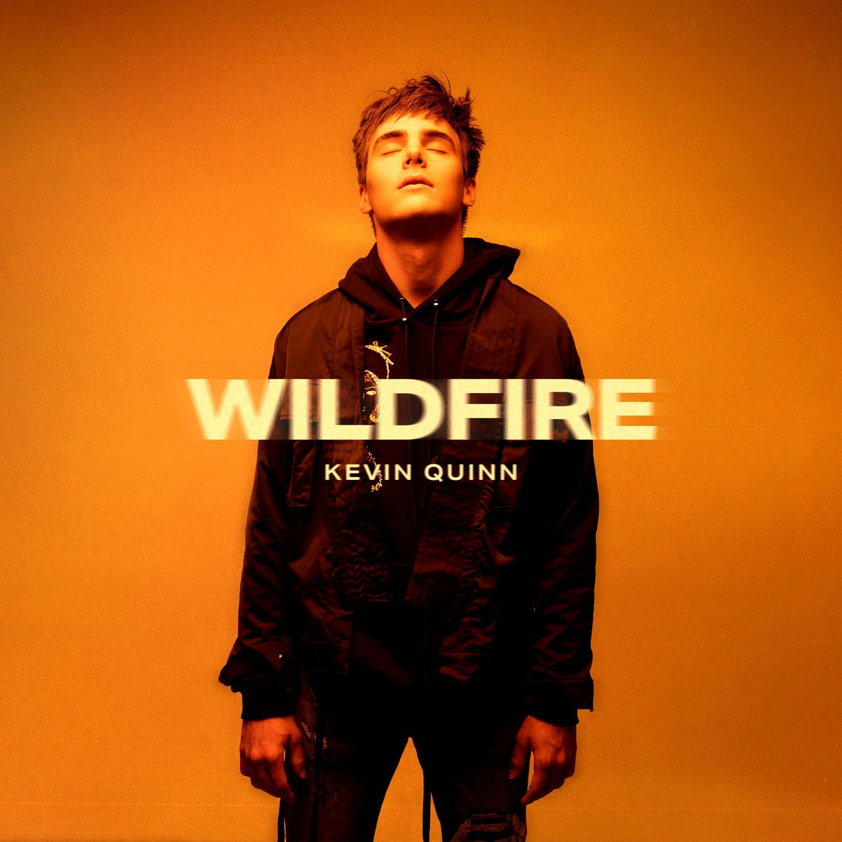 Album cover of Wildfire