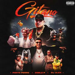 Cover of Gitano