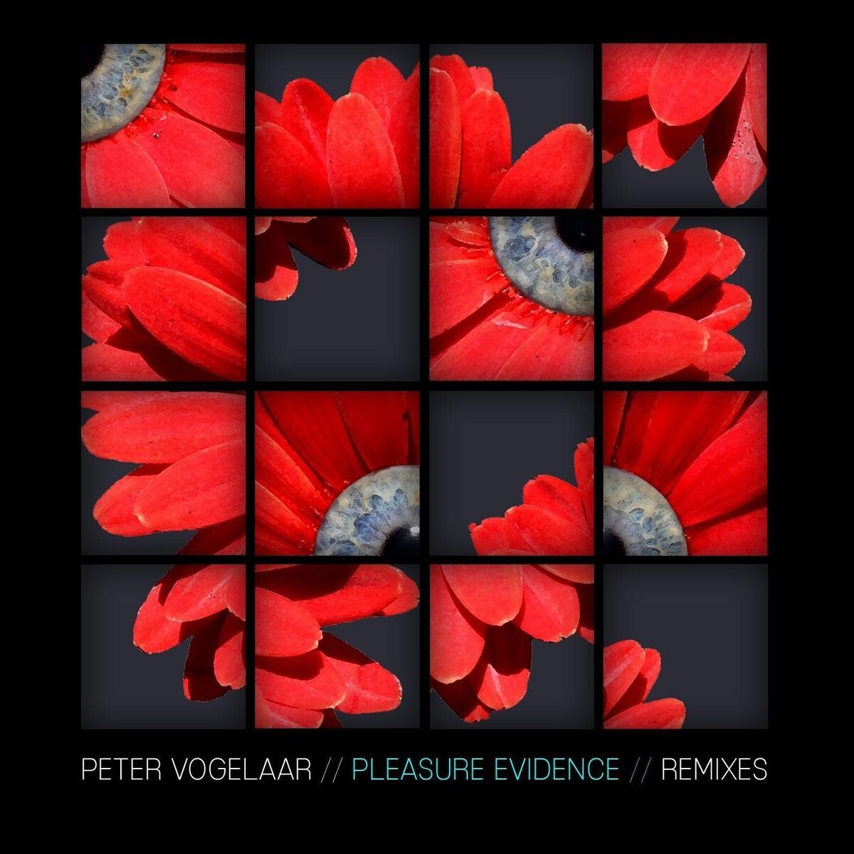Album cover of Pleasure Evidence Remixes