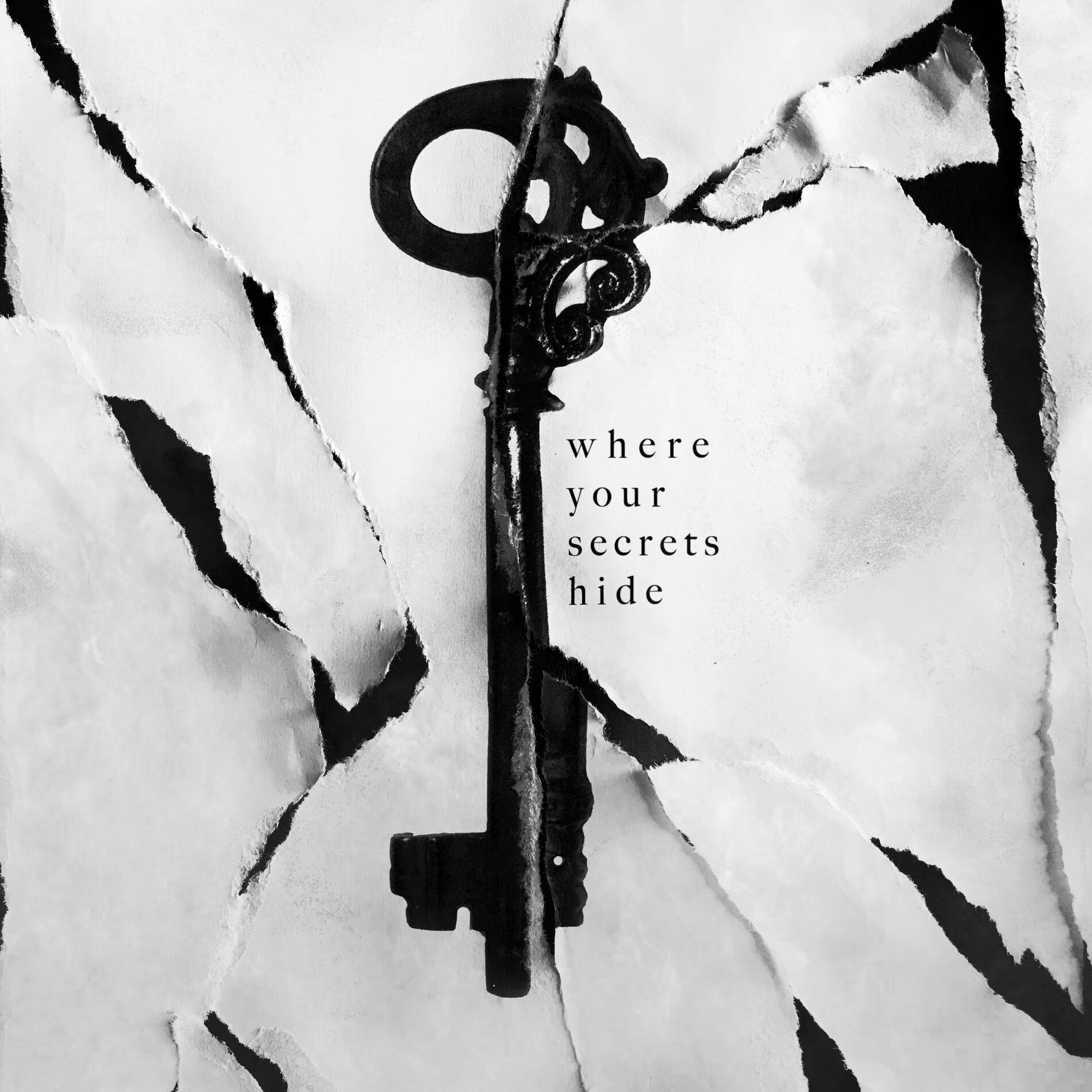 Album cover of Where Your Secrets Hide