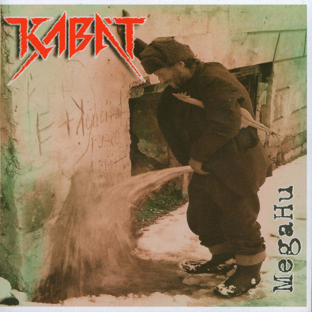 Album cover of Šaman